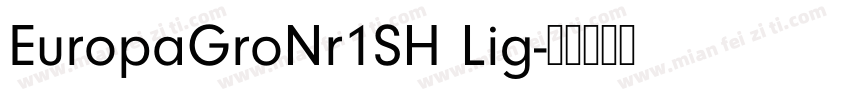 EuropaGroNr1SH Lig字体转换